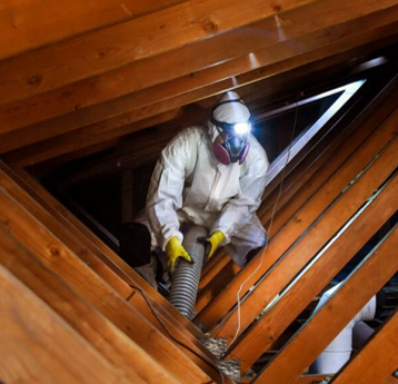 Attic-Cleaning-Decontamination-Image